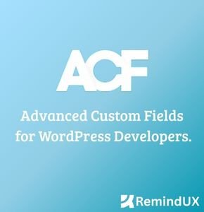 Advanced Custom Fields (ACF) Pro